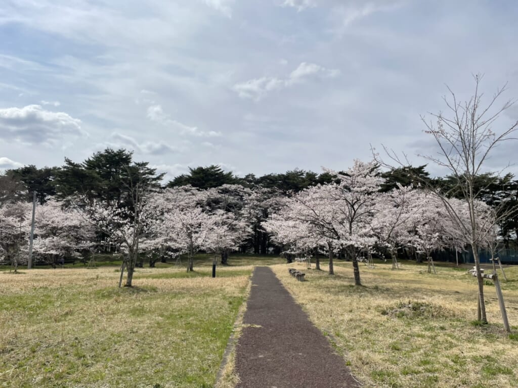 優衣 桜 宮城県仙台市 新築 注文住宅 住宅公園 あいホーム