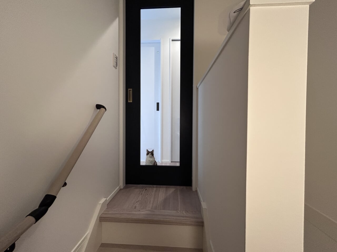 猫フレンドリーアパート「山猫荘」 | 宮城県仙台市｜新築・注文住宅